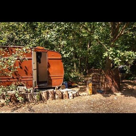 קנטרבורי Little Vintage Caravan With Cosy Log Burner מראה חיצוני תמונה