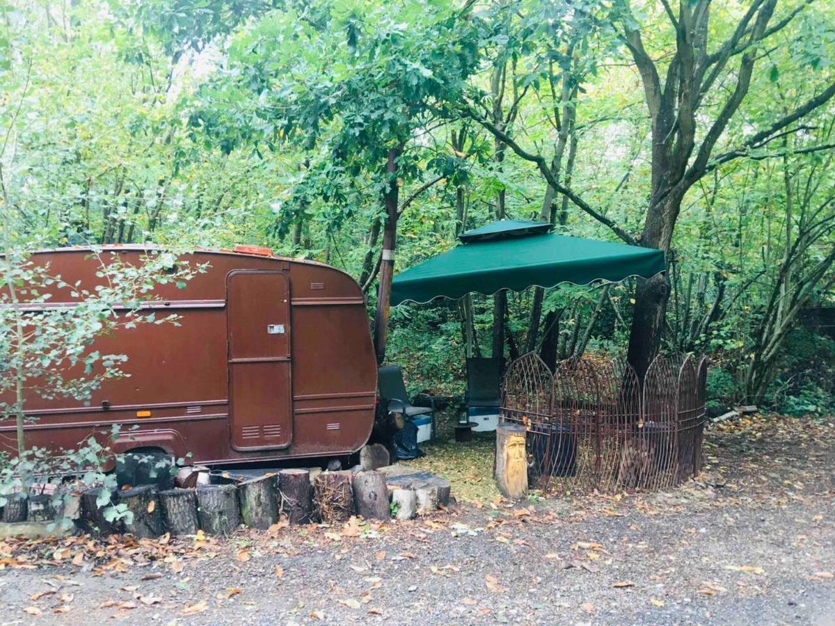 קנטרבורי Little Vintage Caravan With Cosy Log Burner מראה חיצוני תמונה
